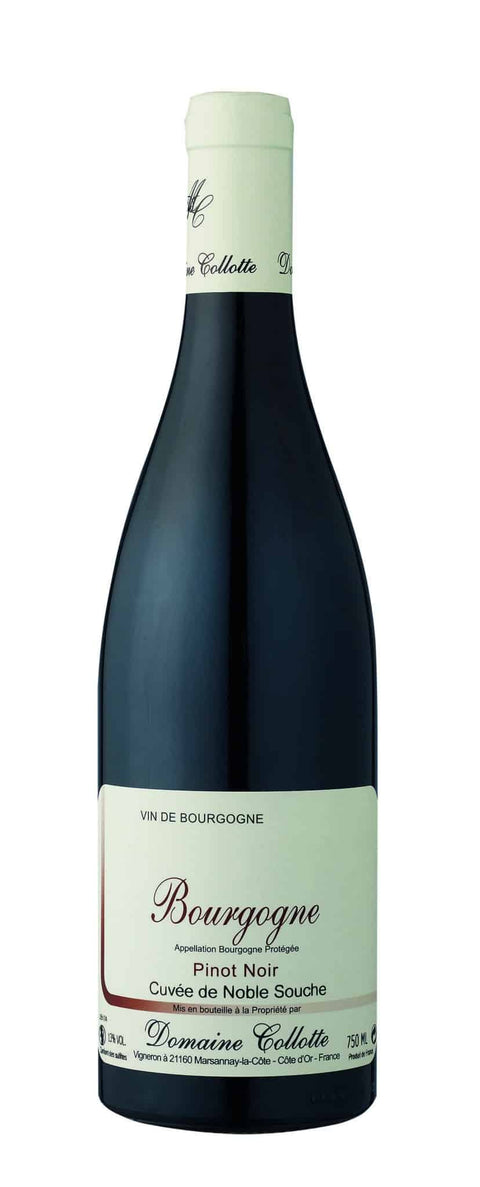 Bourgogne Pinot Noir ”Noble Souche” 2022